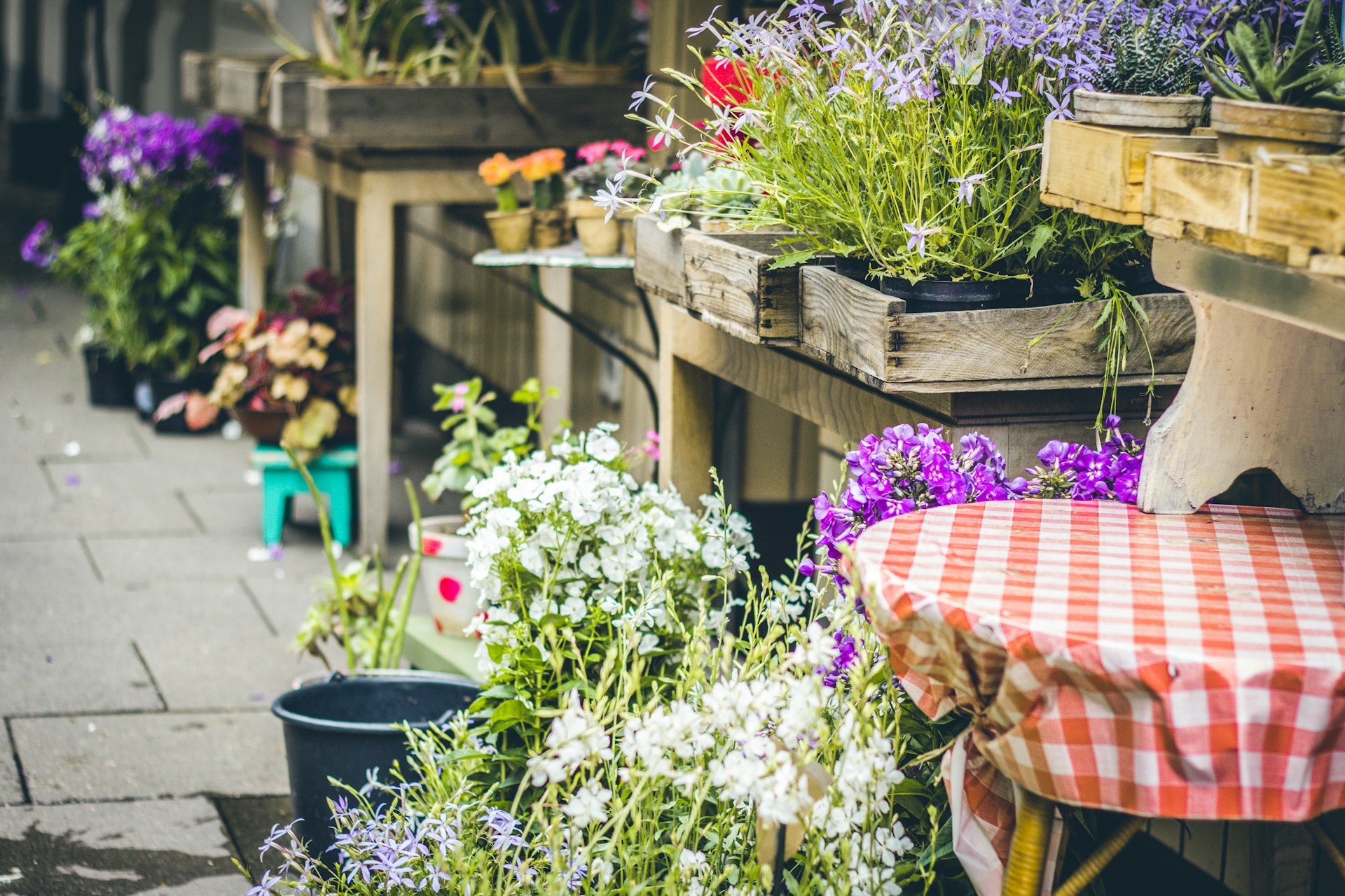 Flower Shop business plan