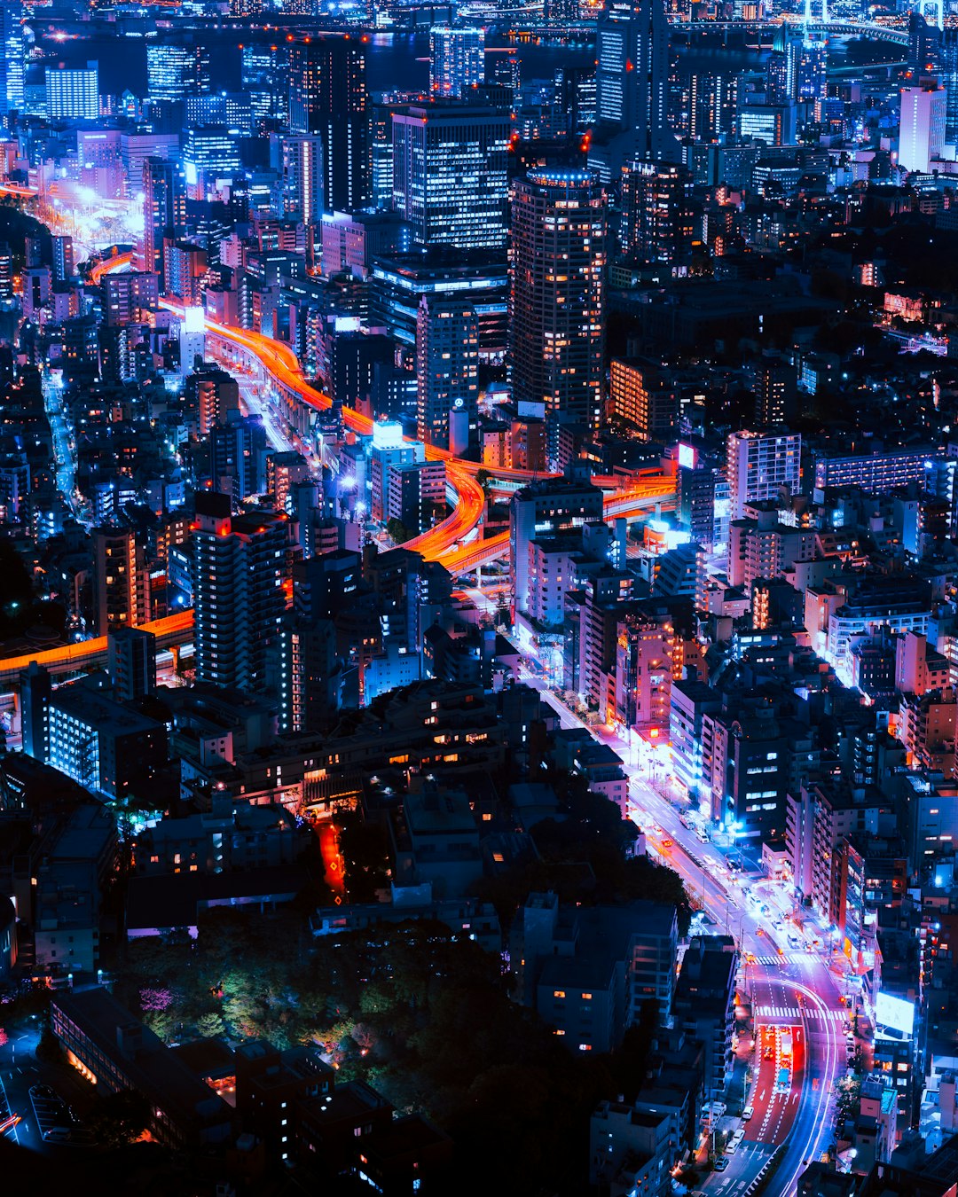 Economic Development and Urban Planning business plan