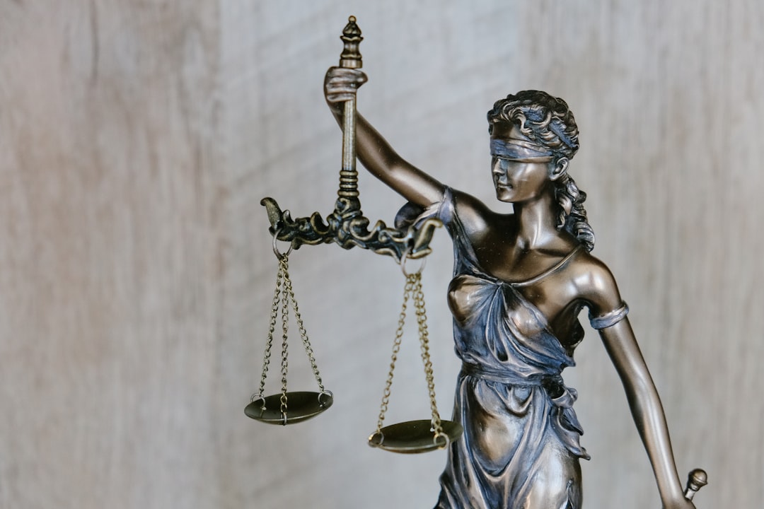 Immigration Legal Services financial structure