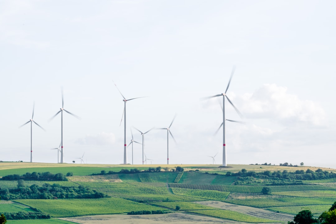 Environmental Cleanup and Remediation business plan