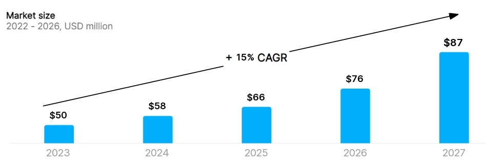 Virtual CFO Services business plan Market Size